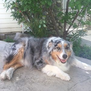 Meet your Posher, Imogen